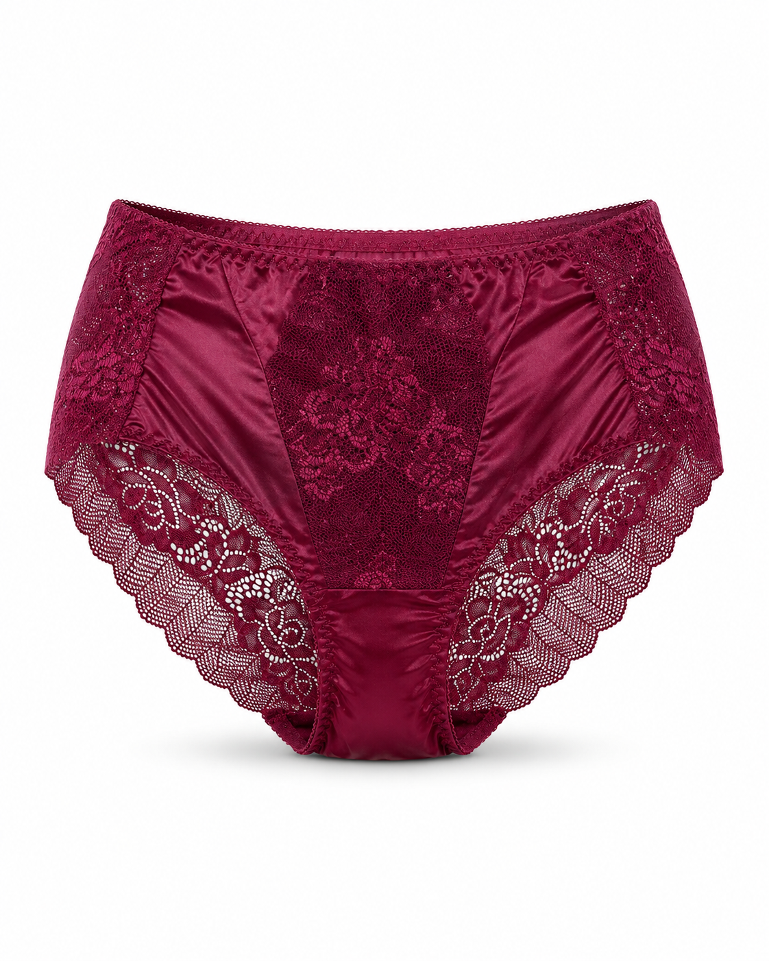 Net Lace Full Brief Panty – Vellure