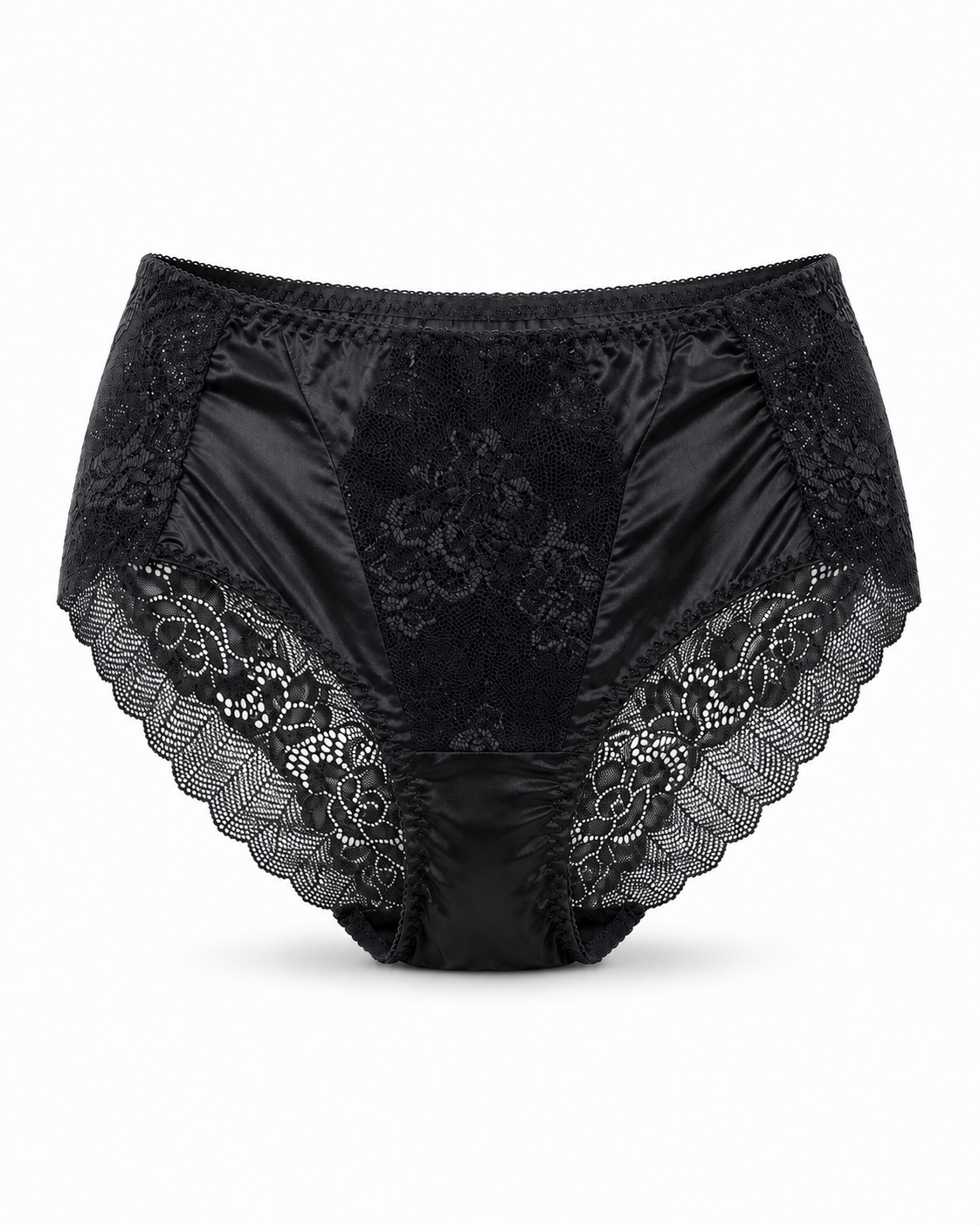 Net Lace Full Brief Panty – Vellure (view 2)