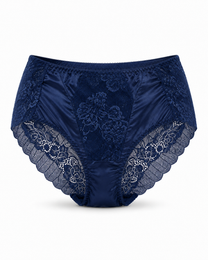 Net Lace Full Brief Panty – Vellure (view 5)