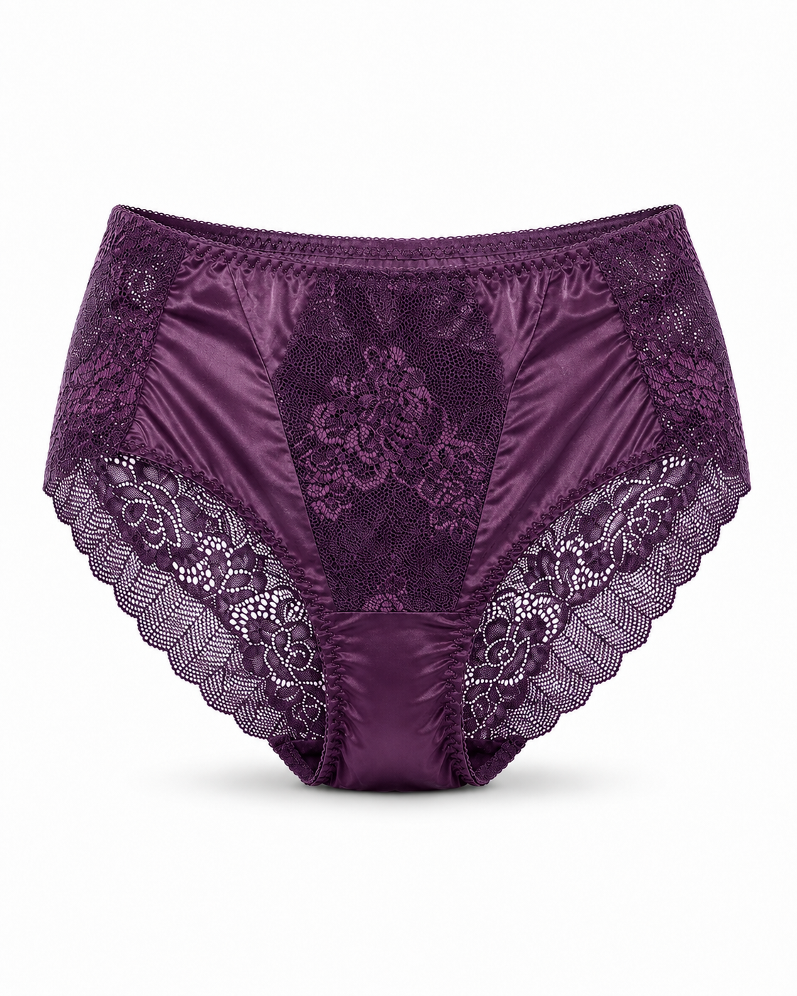 Net Lace Full Brief Panty – Vellure (view 3)