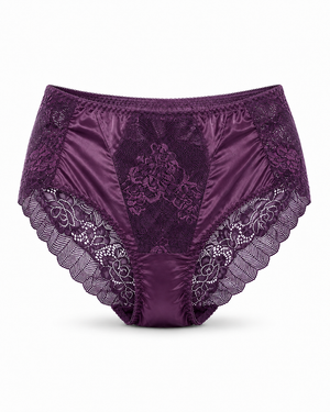 Net Lace Full Brief Panty – Vellure (view 3)