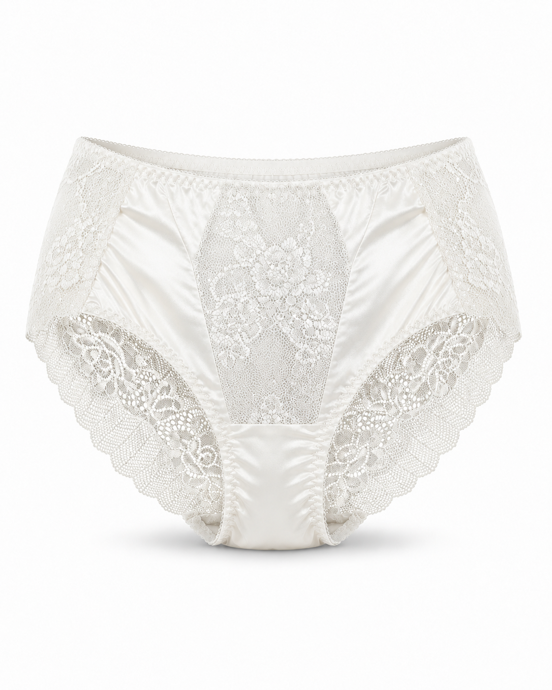 Net Lace Full Brief Panty – Vellure (view 4)