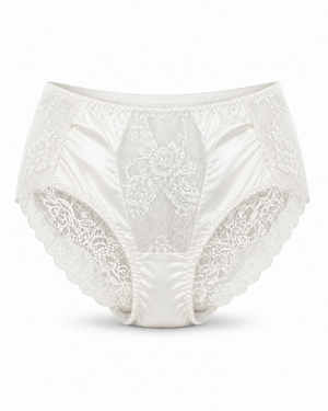 Net Lace Full Brief Panty – Vellure (view 4)