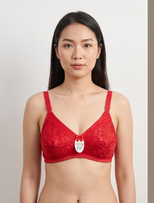 Lace Full Coverage Cotton Net Bra – Vellure (view 5)